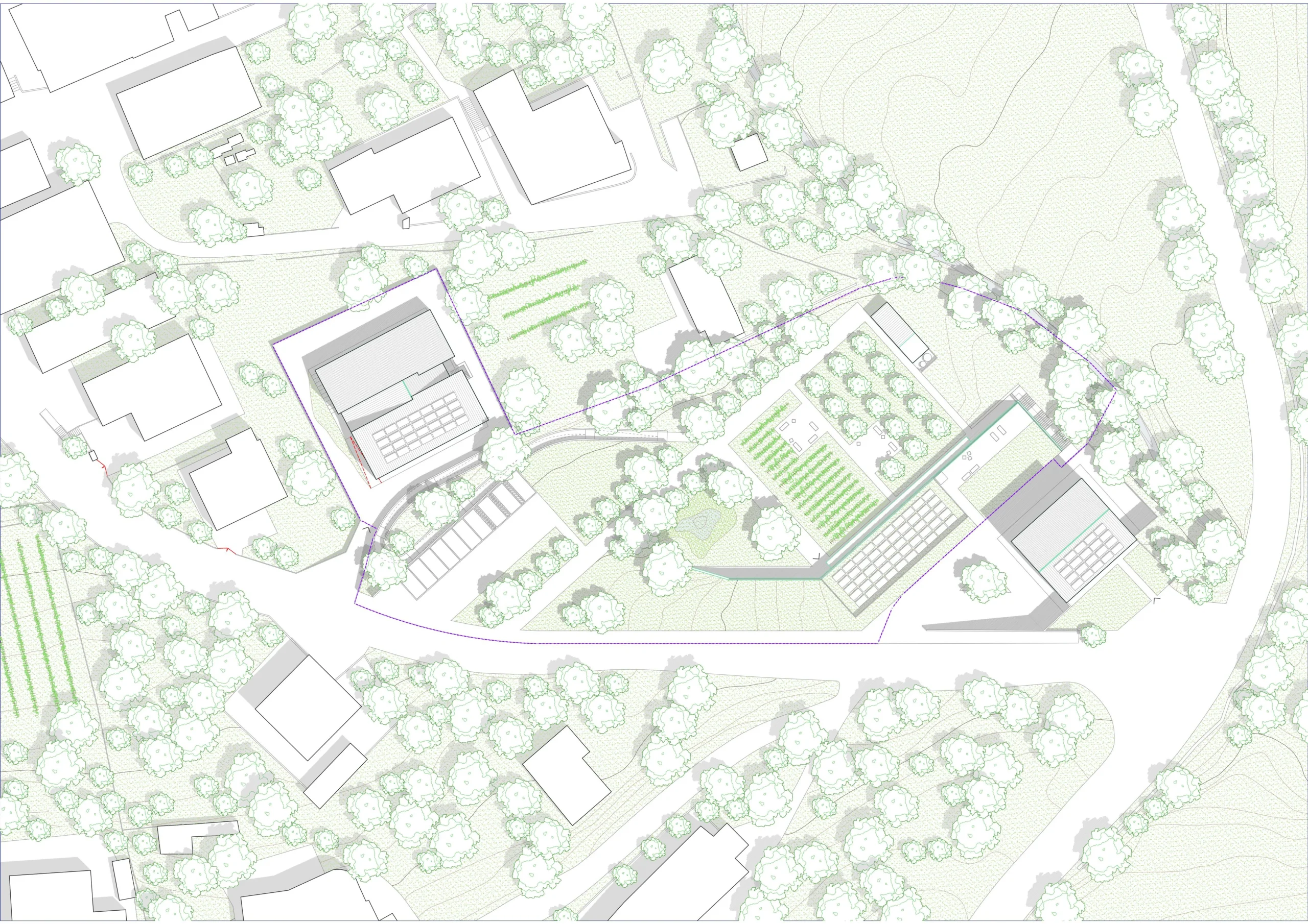 Monticchio_01 Site plan